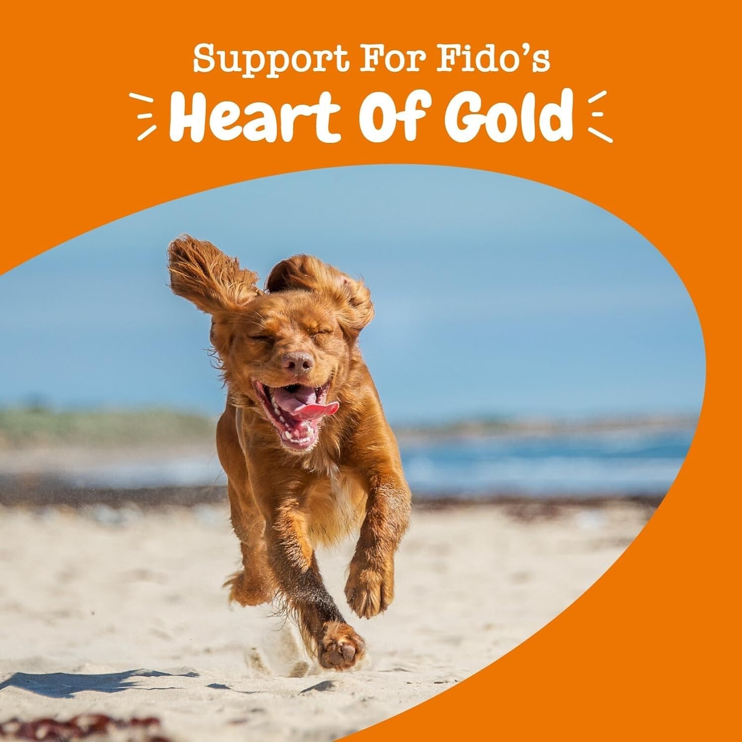 Cardiovascular Support for Dogs - Chewable Salmon Treats with CoQ10 & Omega-3