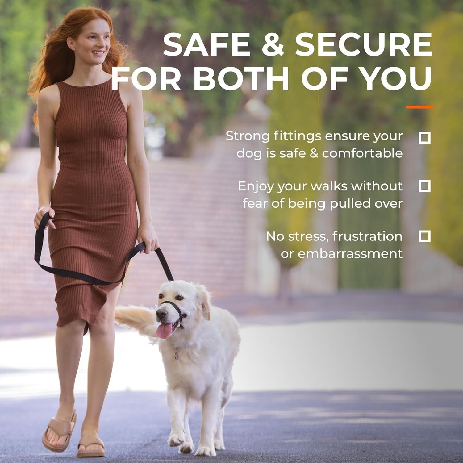 No-Pull Dog Collar for Stress-Free Walking - Gentle Head Collar in Blue, Size 2