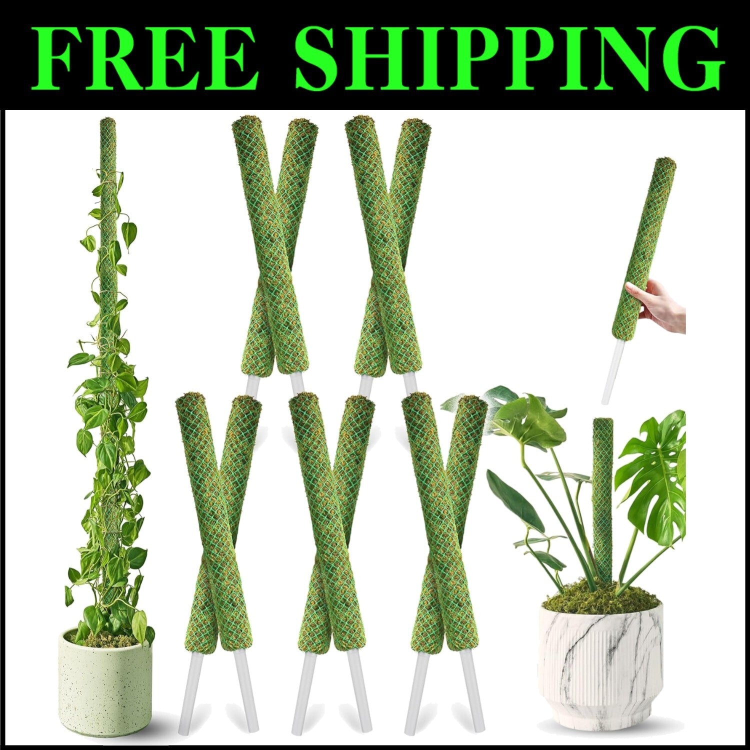 Elegant 22'' Indoor Plant Stakes - Stackable Support Poles for Climbing Plants