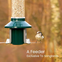 Load image into Gallery viewer, PestOff 2.0 Squirrel-Proof Wild Bird Feeder - 4lbs Capacity, Weatherproof Green