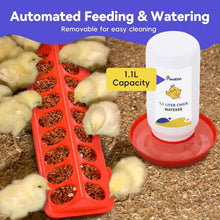 Load image into Gallery viewer, Lightweight 5-in-1 Brooder Kit for Chicks - Playpen, Feeder &amp; Waterer Included