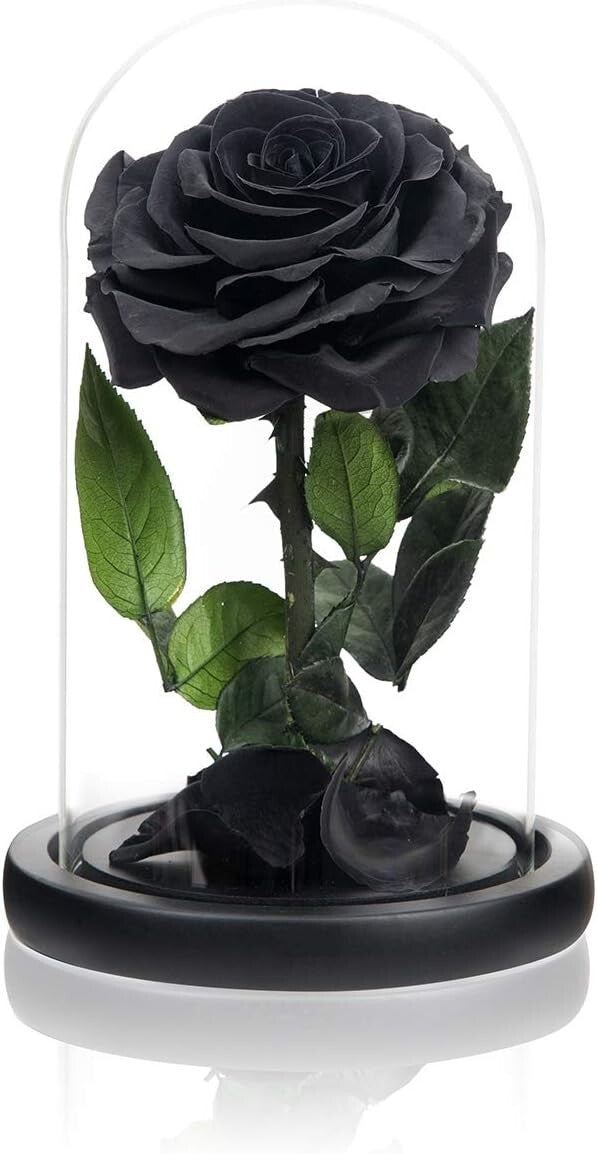 Elegant Black Rose Gift in Silk Box - Lasting Beauty for Mother’s Day & Beyond