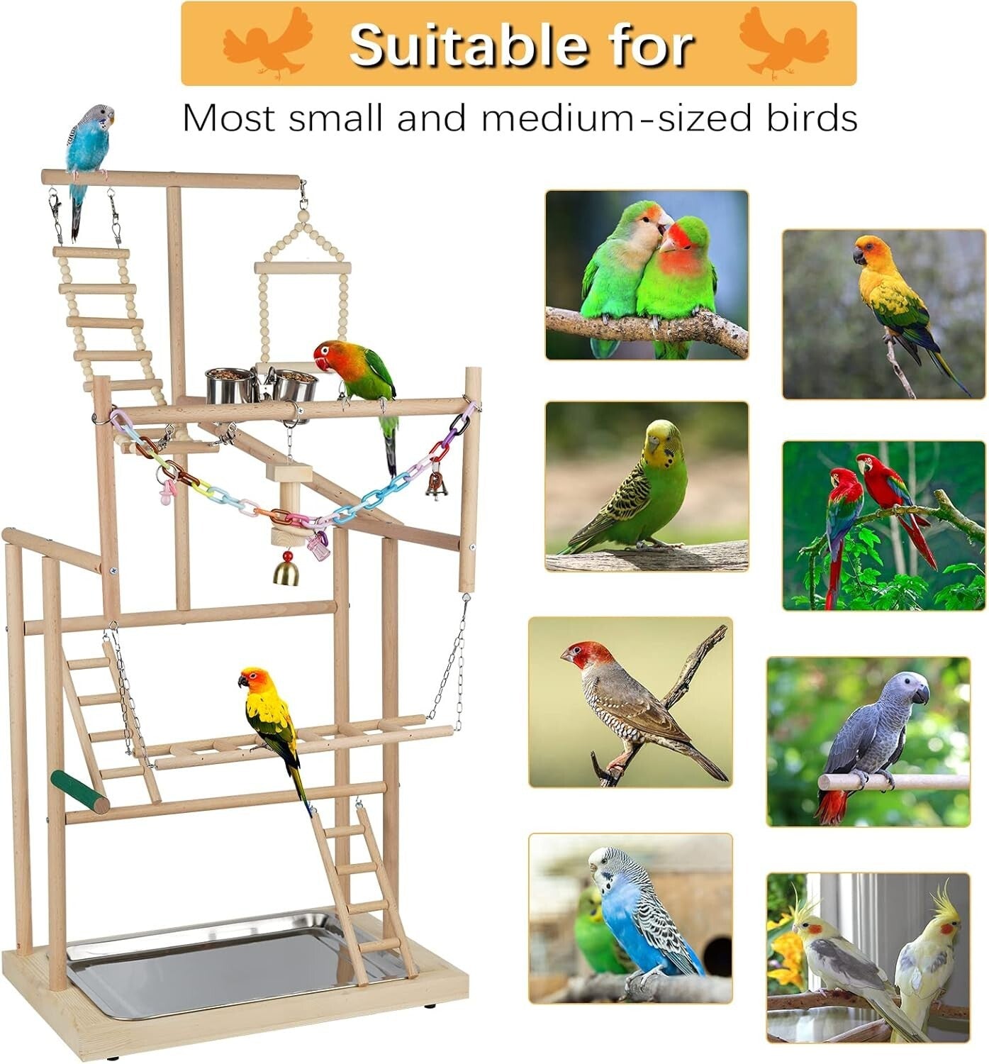 Modern 37-Inch Parrot Playground with Easy Setup - Ideal Bird Gym Experience