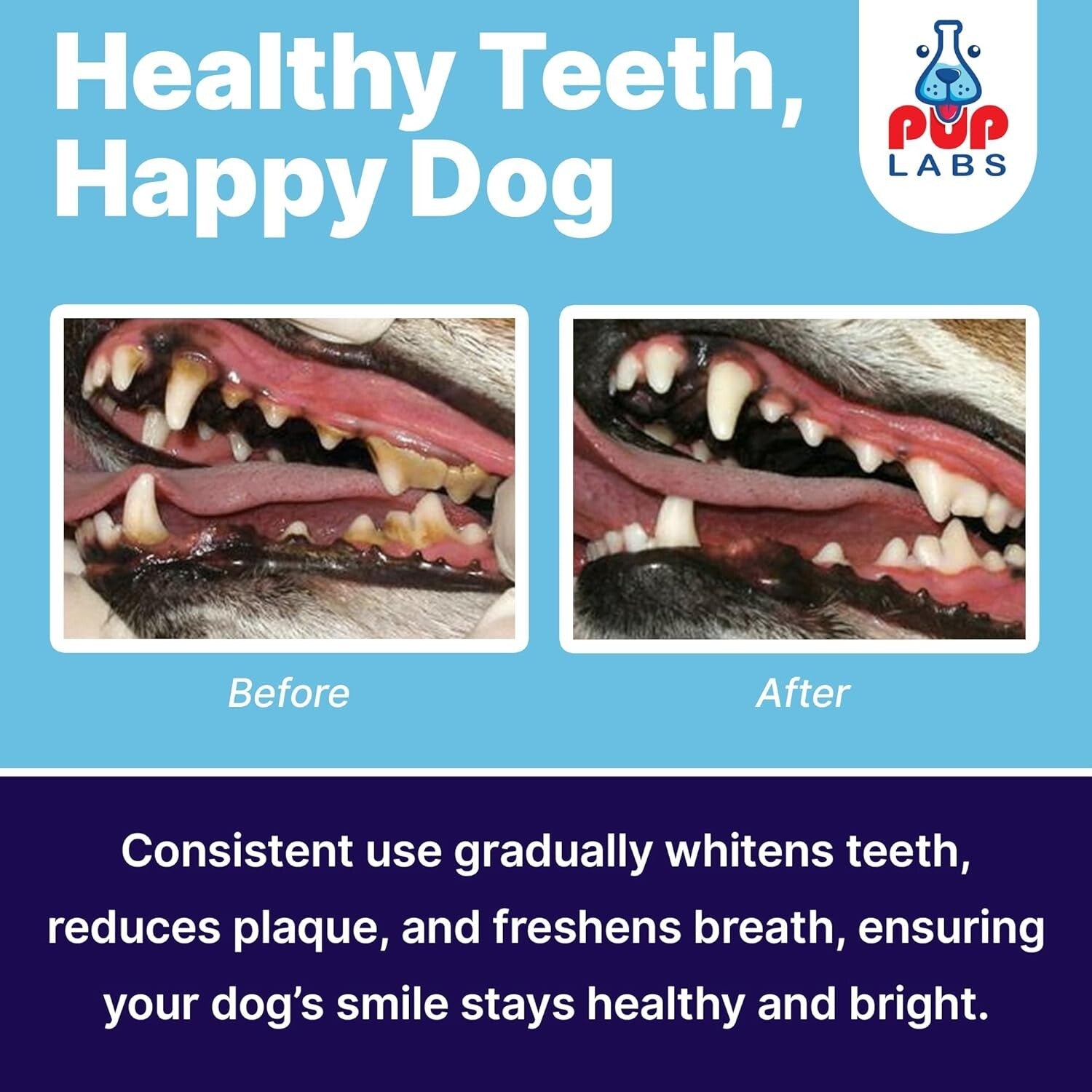 Easy-to-Use ProDenta Dog Dental Powder for All Breeds - Perfect Breath Solution