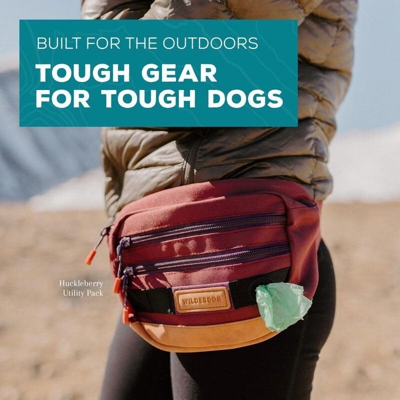 Adjustable Fanny Pack for Treats and Accessories – Lightweight Pet Bag in Black