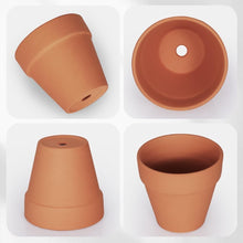 Load image into Gallery viewer, 24-Pack 4 Inch Terracotta Clay Pots with Drainage for Charming Plants &amp; Crafts