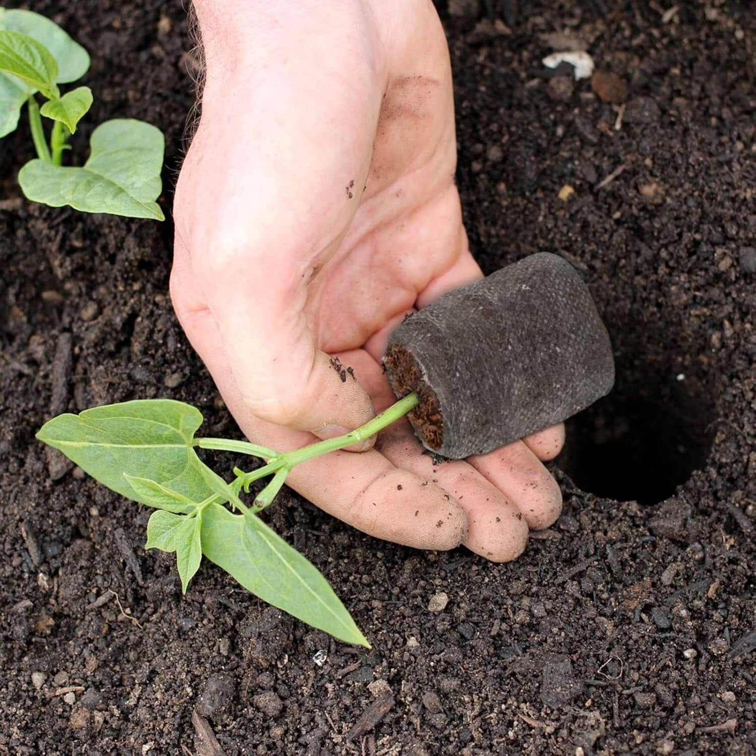 500 Pcs 30mm Peat Pellets Seed Starter Pods - Ideal for Herbs and Vegetables