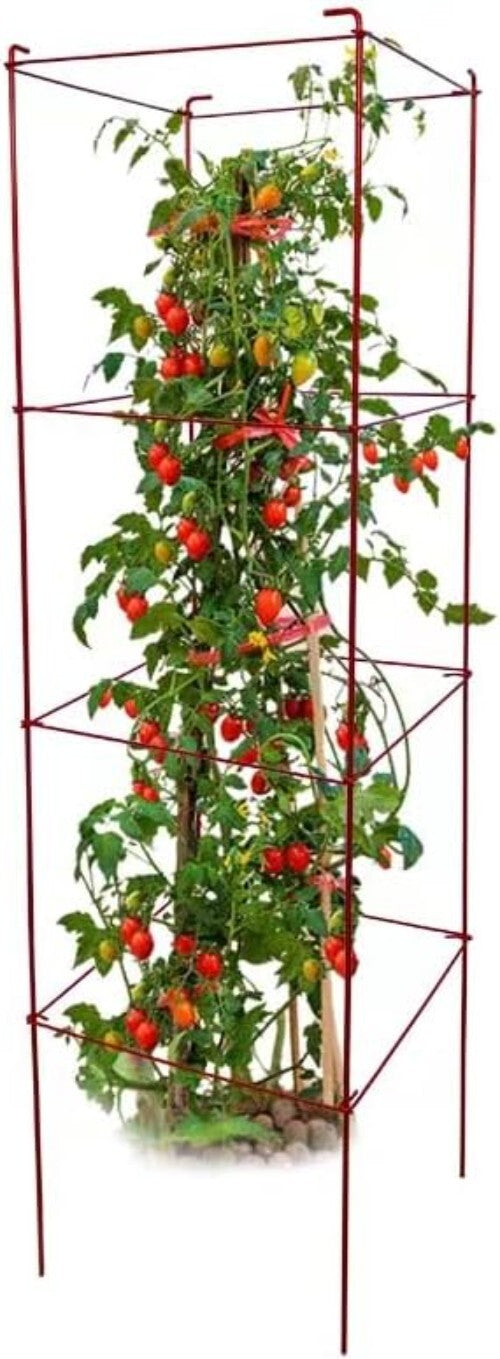 Durable Tomato Cages 6 Pack with Twist Ties - 46” Red Plant Stand Support
