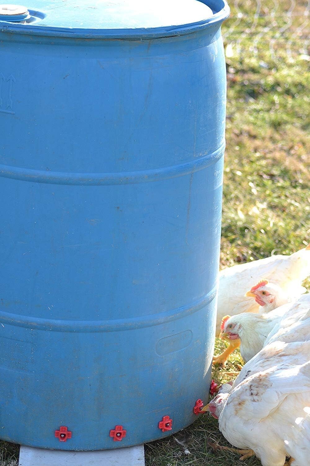 50-Pc DIY Horizontal Poultry Waterer Kit with Dribble Dishes & Installation Tool