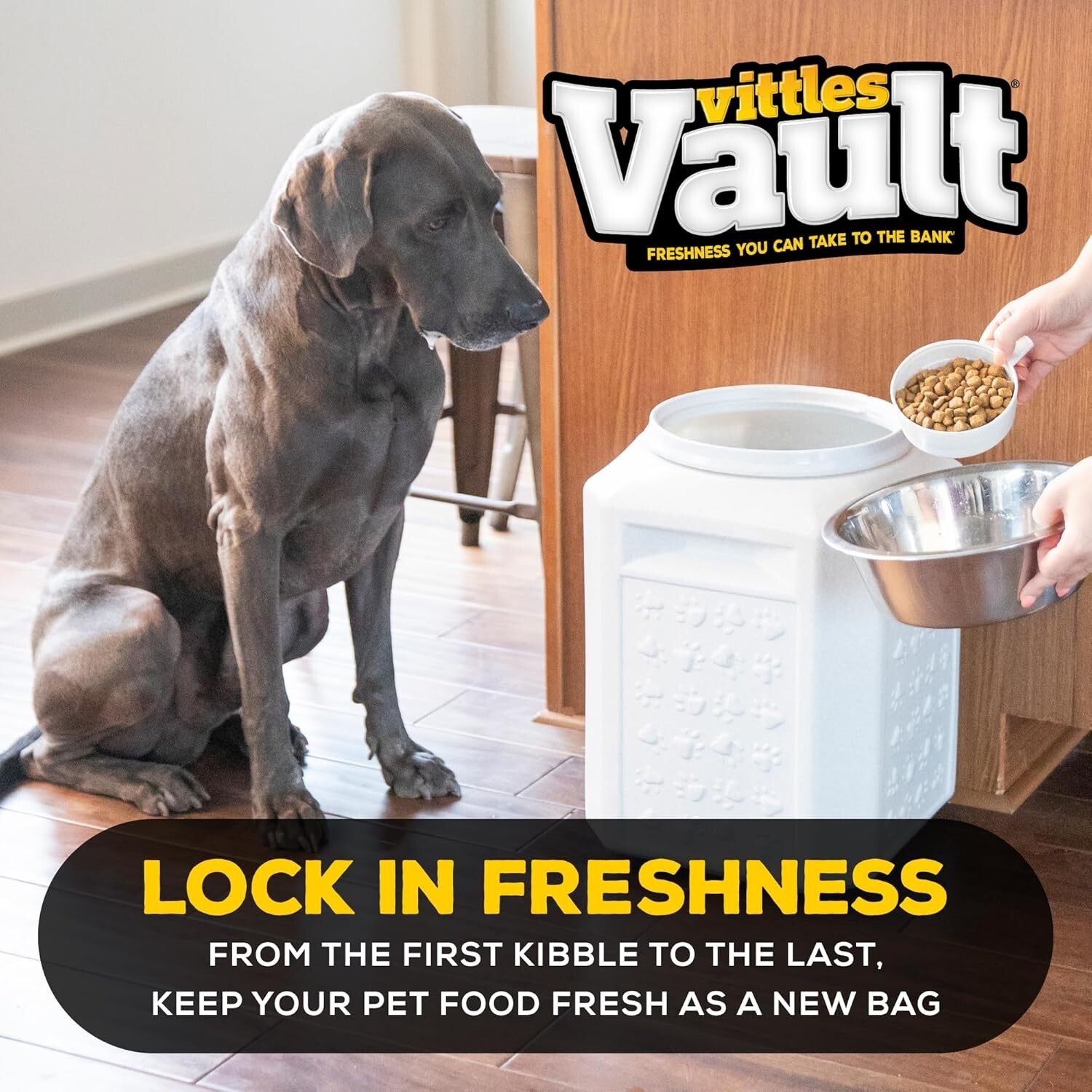 Eco-Friendly Airtight Pet Food Container - 35 lbs Dog and Cat Food Storage Bin
