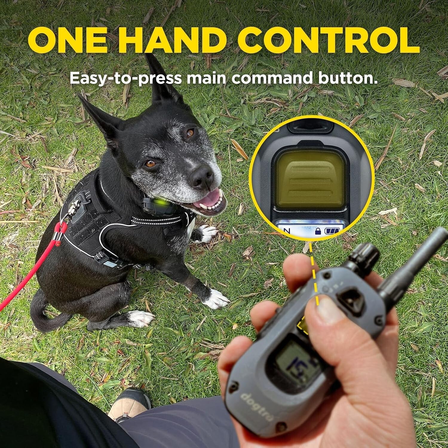 2-Dog E-Collar Remote Training System | Waterproof, Adjustable, 1/2 Mile Range