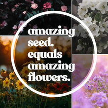 Load image into Gallery viewer, 23 Variety Bulk Wildflower Seeds - Create Your Butterfly Garden - 1 lb Pack