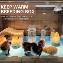Load image into Gallery viewer, Indoor Chick Brooder Box - 20-30 Chicks with Temperature Control &amp; Ventilation