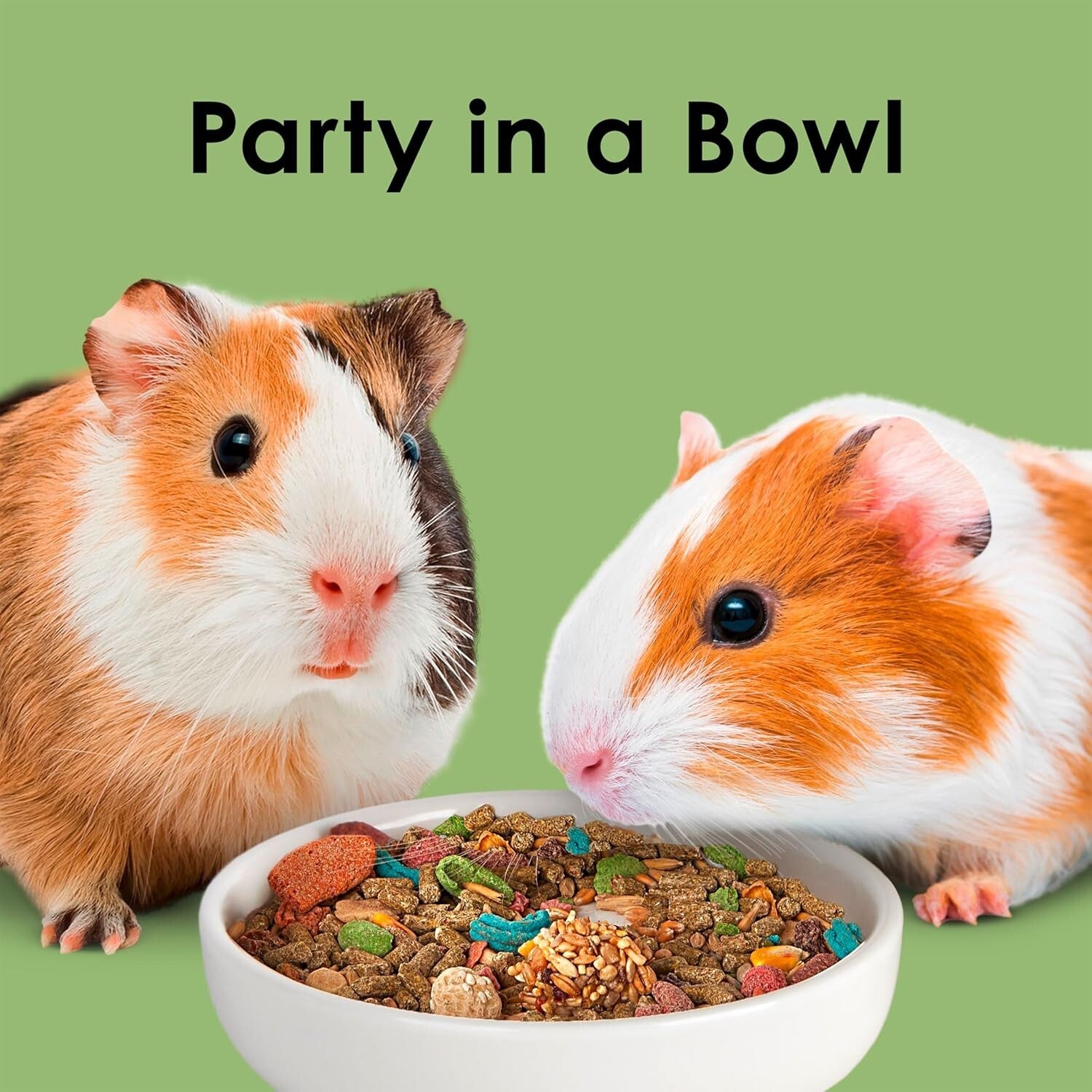 Fiesta Guinea Pig Food, Nutrient-Rich 25 lbs Blend for Dental Health & Digestion