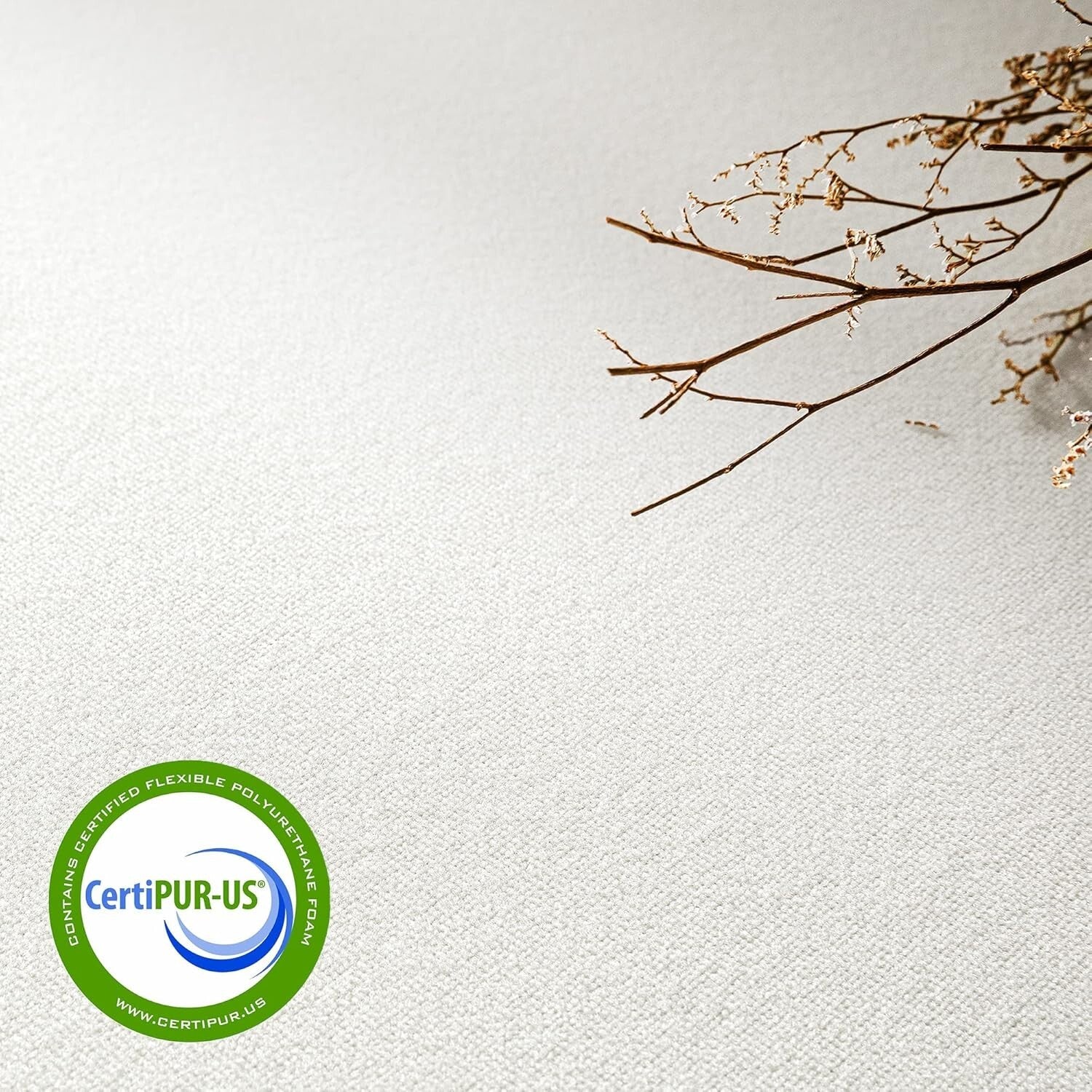 6-Inch Bed-in-A-Box Memory Foam Twin XL Mattress with Green Tea Infusion