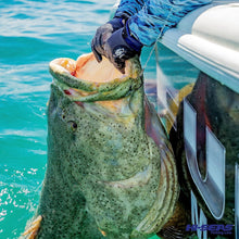 Load image into Gallery viewer, Strong Aluminum Fishing Line Crimps - 500 Pack for Secure Offshore Connections