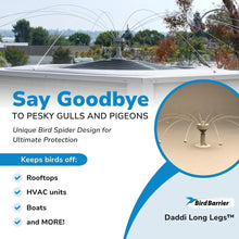 Load image into Gallery viewer, Versatile Daddi Long Legs Bird Spider - Easy Installation for Roofs &amp; Boats