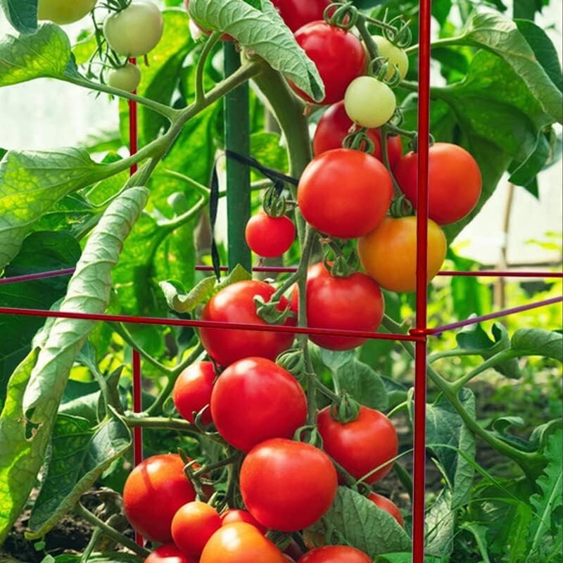 Durable Tomato Cages 6 Pack with Twist Ties - 46” Red Plant Stand Support