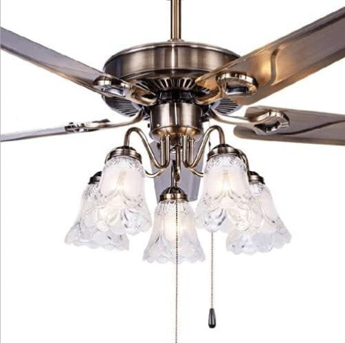 Clear & Frosted Glass Ceiling Fan Light Covers - Pack of 4, Transitional Style