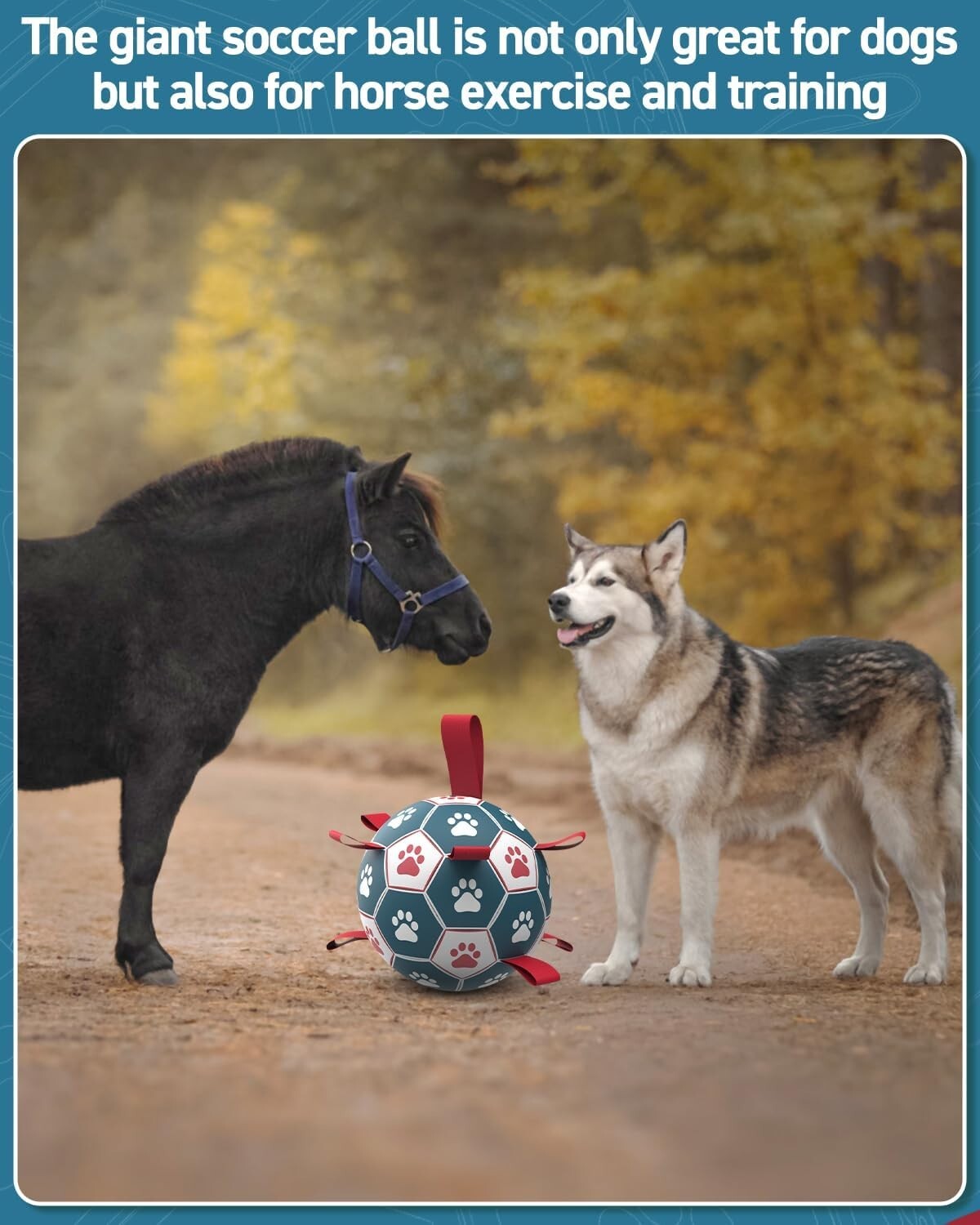 Soft but Sturdy 10-Inch Dog Soccer Ball with Grip Straps – Perfect Birthday Gift