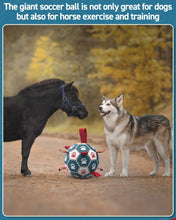 Load image into Gallery viewer, Soft but Sturdy 10-Inch Dog Soccer Ball with Grip Straps – Perfect Birthday Gift