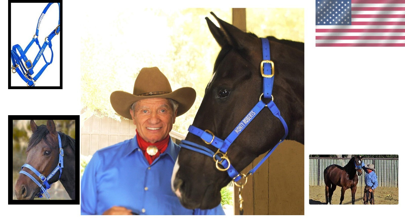 Durable Adjustable Dually Headcollar for Effective Horse Training - Large, Blue