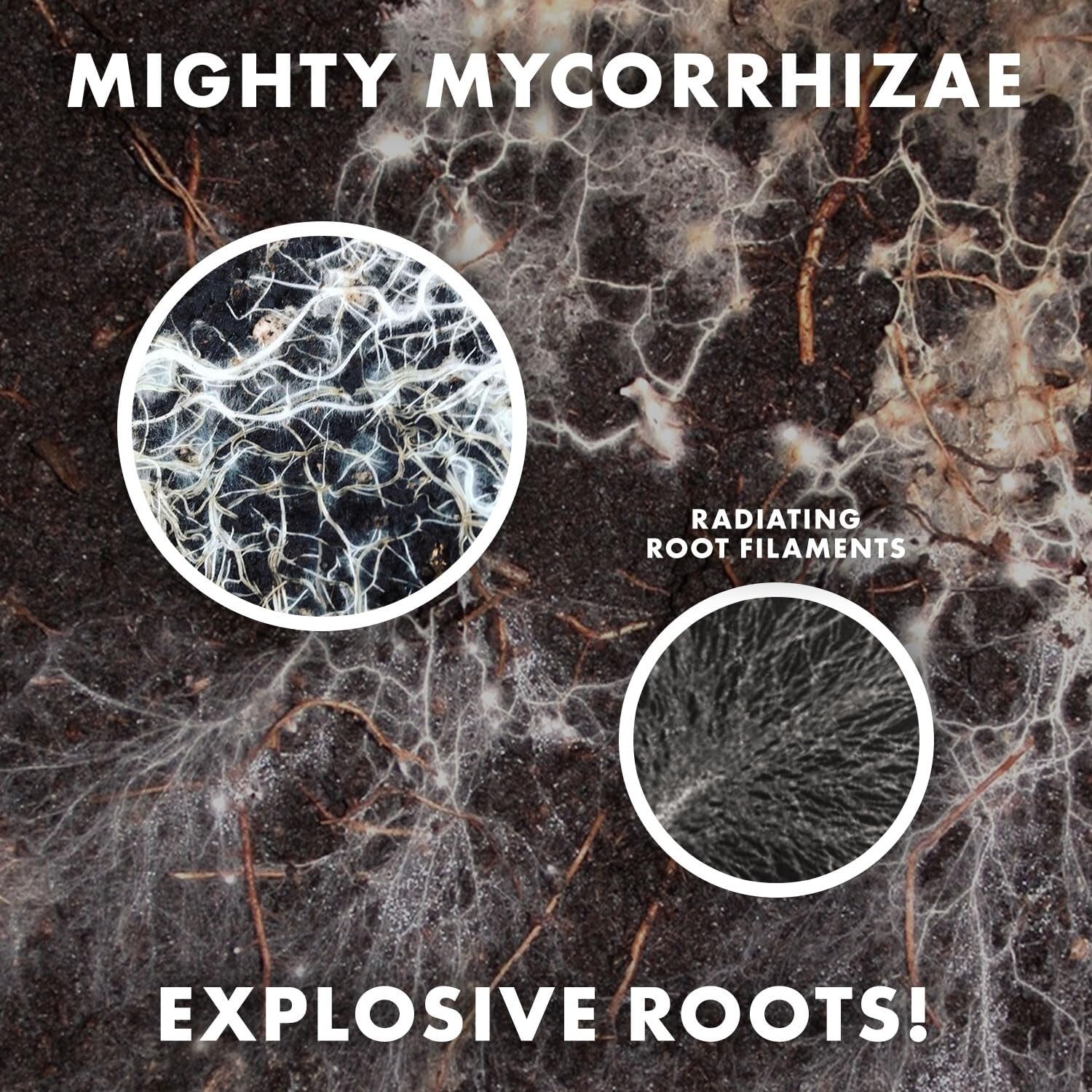 16 Species Mycorrhizae Inoculant - 1 lb Enhances Plant Growth & Saves Water