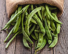 Load image into Gallery viewer, Nutritious Organic Great Northern Beans, 15 lb Bulk - Perfect for Soups &amp; Salads
