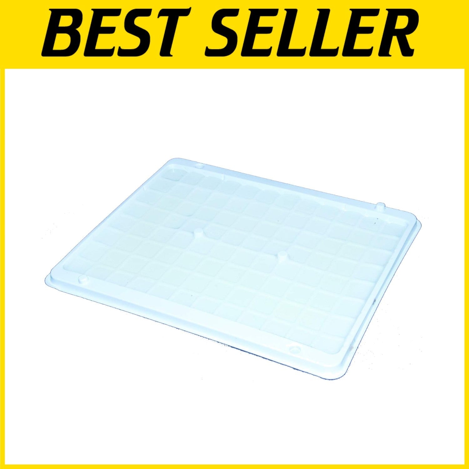 Extra-Large No-Mess Glue Traps for Rats, Mice, & Snakes - Cold Weather Ready