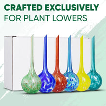 Load image into Gallery viewer, Multicolored 6-Pack of Automatic Plant Watering Globes – 200 ml Each for 7 Days