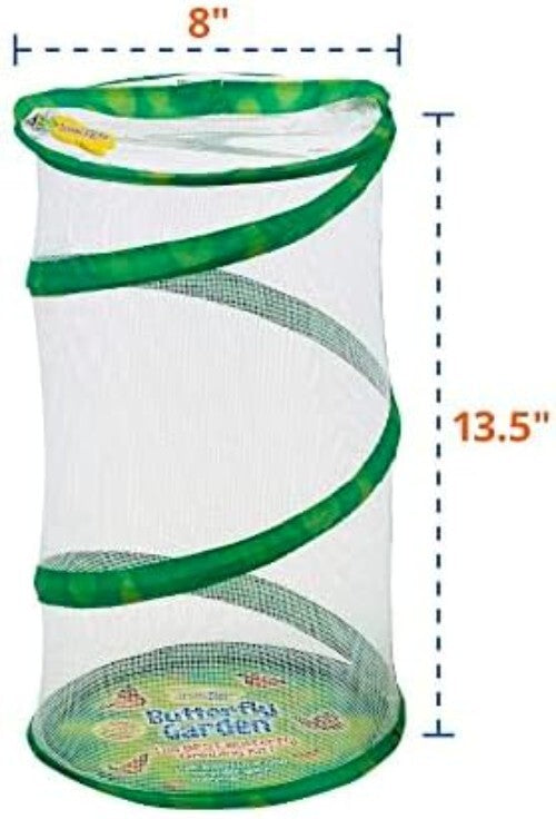 Metamorphosis Magic: 5 Caterpillars & Mini Habitat - Perfect Family Project