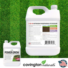 Load image into Gallery viewer, Liquid Lawn Food 3-18-18: Powerful Fertilizer for Healthy Roots &amp; Grass (32 oz)