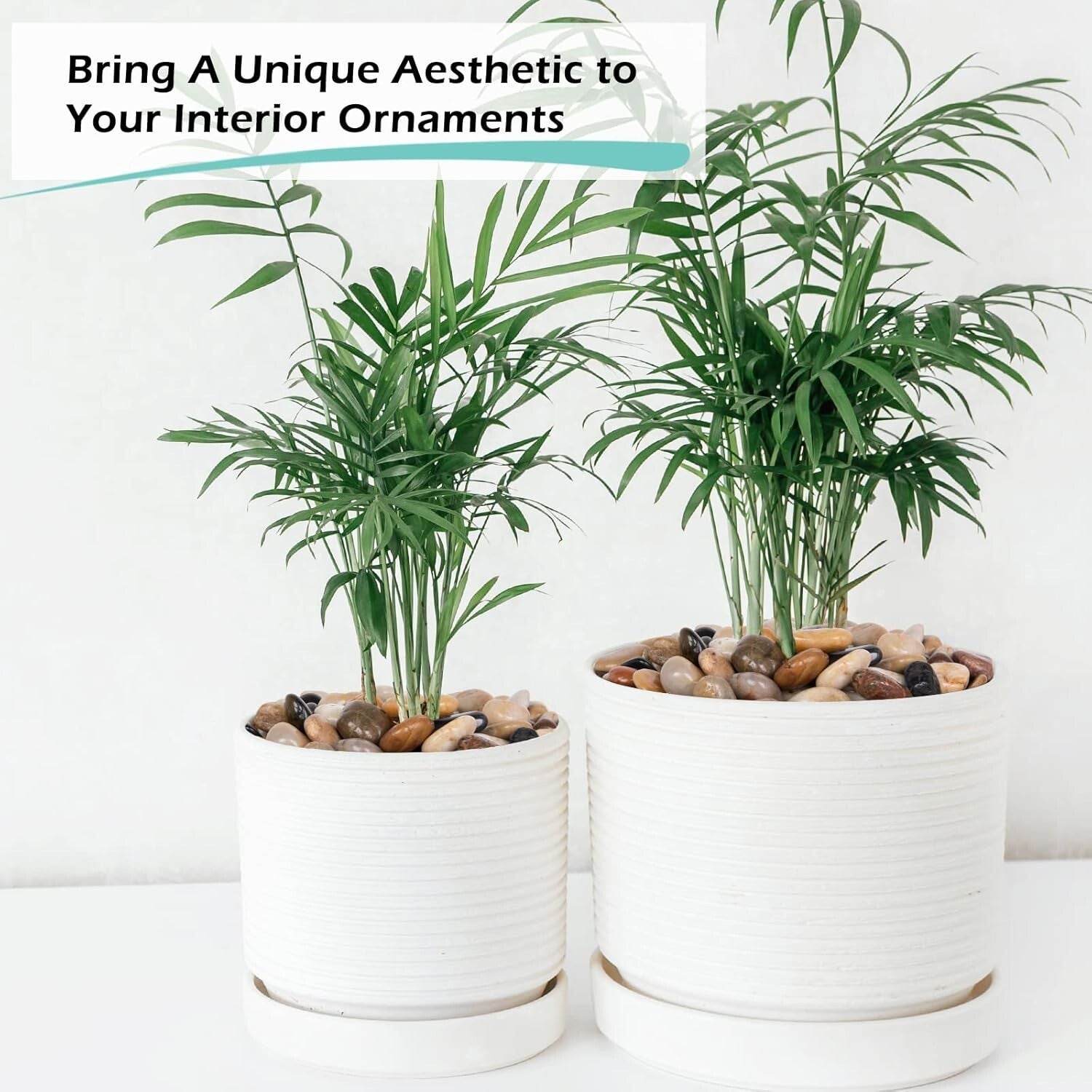 Natural 30 lb Polished Pebbles - Ideal for Drainage and Aesthetic in Any Garden