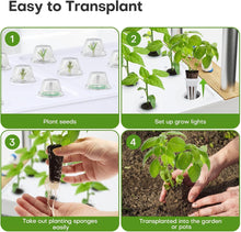 Load image into Gallery viewer, Space-Saving Hydroponic Garden with 60 Pods &amp; Full Spectrum LED for Home Use