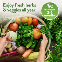 Load image into Gallery viewer, Explore 70 Varieties of Heirloom Seeds: The Ultimate Prepper’s Garden Kit