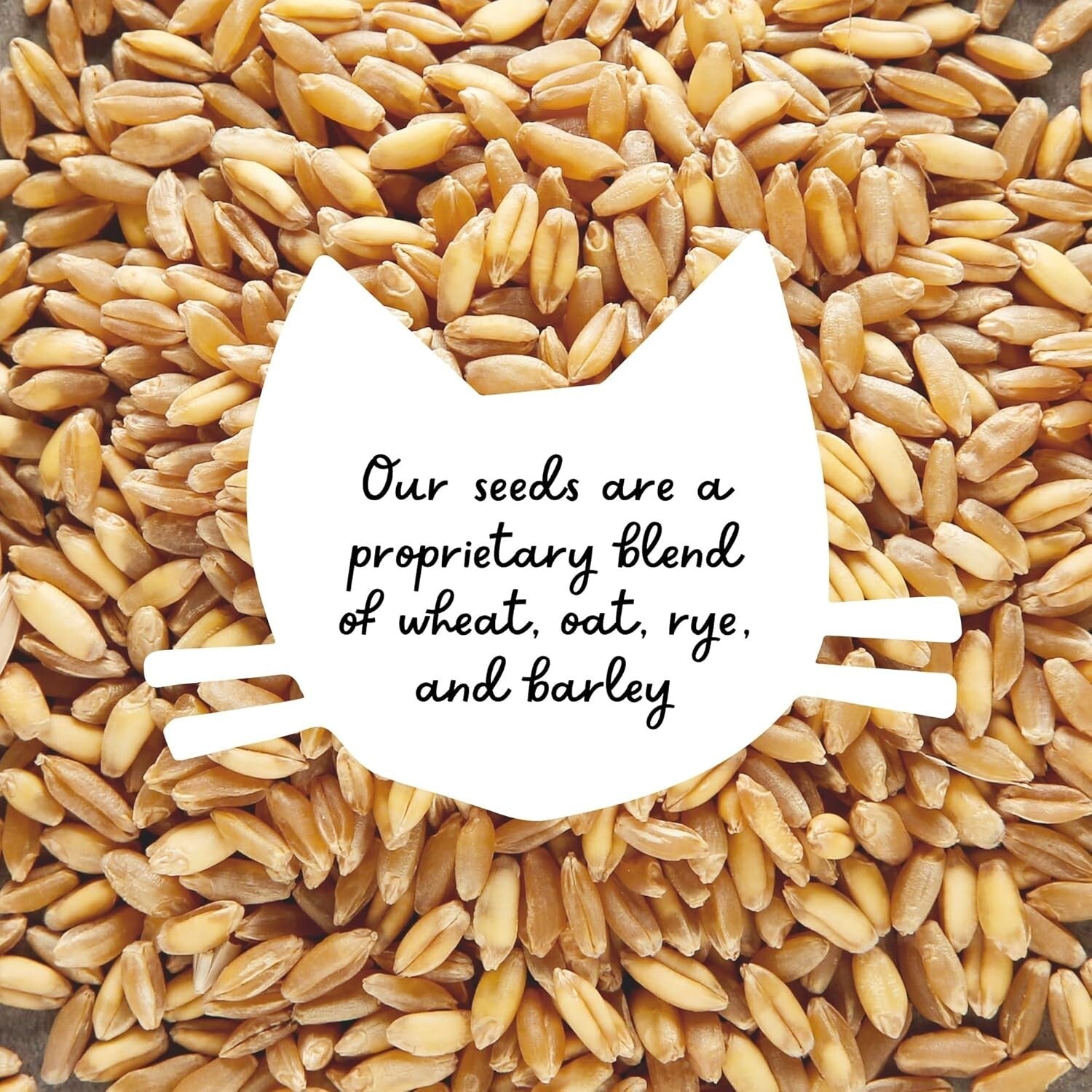 Elegant Cat Grass Kit in Rustic Wood Planter - Nourish & Decorate Your Home