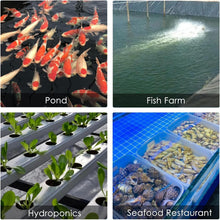 Load image into Gallery viewer, Automatic Fish Tank Aerator Pump - 100W Power, Long-Lasting &amp; Reliable