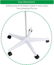 Load image into Gallery viewer, 70.8" Life-Size Skeleton Model with Detachable Parts - Ideal for Medical Studies