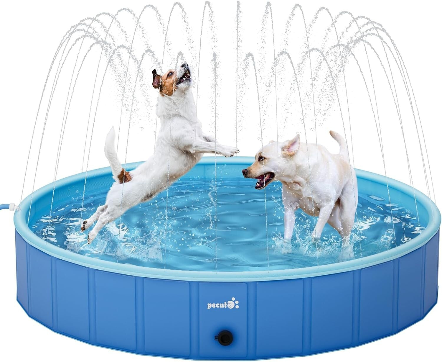 Extra-Large Foldable Dog Pool with Sprinkler - Portable Splash Wading Fun!