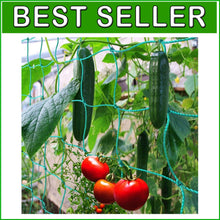 Load image into Gallery viewer, UV Stabilized Garden Trellis Netting for Tomatoes &amp; Vines - 2-Pack 32.8' x 6.6'