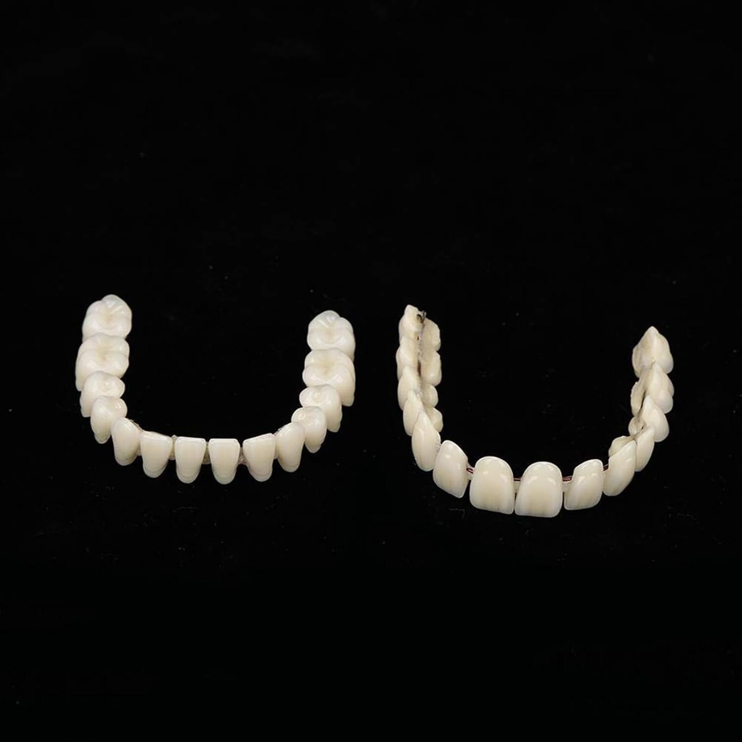 Customizable Teaching Model Set of 280 Resin Dentures for Dentistry Students