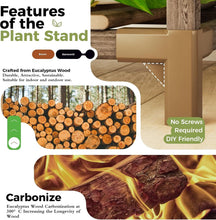 Load image into Gallery viewer, Carbonized Wood Indoor Plant Shelf with Built-In Grow Lights – 16 Plant Holder