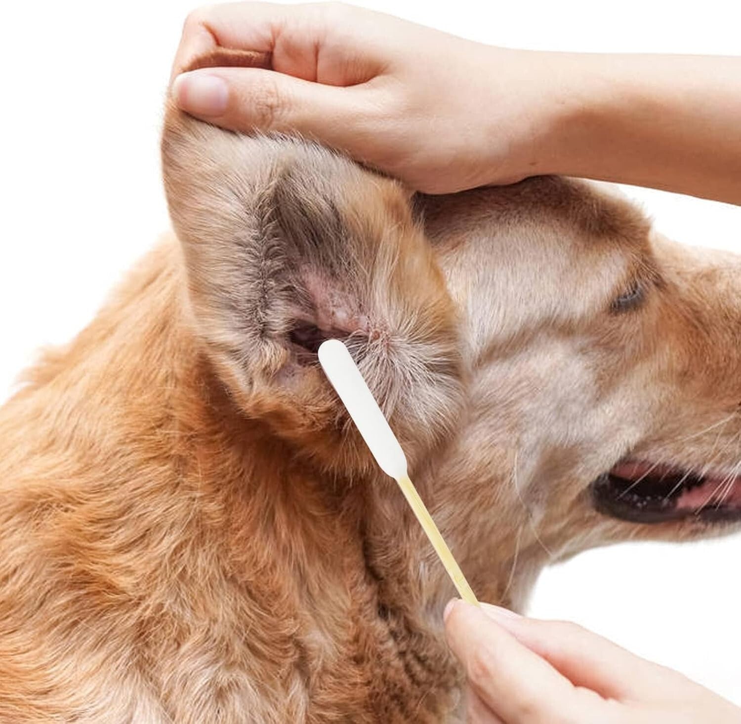 Eco-Friendly Dog Q Tips – 800 Bamboo Cotton Swabs for Safe Ear Cleaning