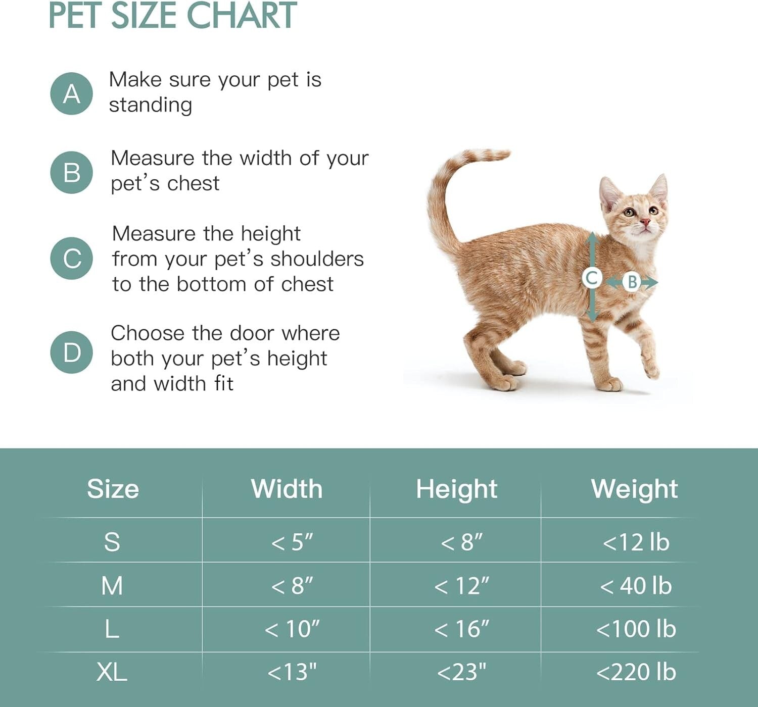 Durable Steel Frame Pet Door for Wall – Double Flap for Cats & Dogs Up to 12 lbs