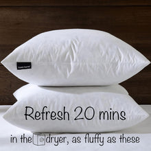 Load image into Gallery viewer, Set of 2 Down Feather 20x20 Throw Pillow Inserts in Durable Cotton Fabric