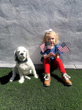 Load image into Gallery viewer, USA-Made 4"x6" Cotton Flags on Sticks - Perfect for Yard and Indoor Display