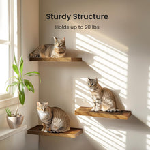 Load image into Gallery viewer, Set of 3 Rustic Brown Floating Shelves with Invisible Brackets for Home Decor