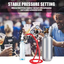 Load image into Gallery viewer, Professional Grade CO2 Regulator for Kegerators - 0-60 PSI Adjustable Control