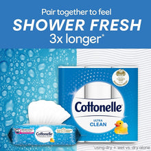 Load image into Gallery viewer, 336 Alcohol-Free Flushable Wipes with Wetness Indicator - Individually Wrapped