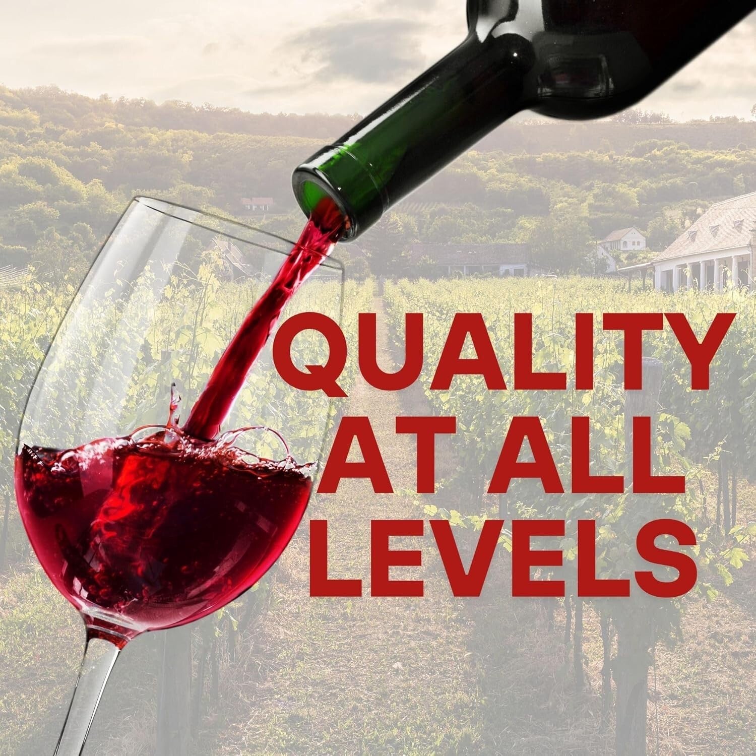 Craft 6 Gallons of Shiraz Merlot with Winemaker's Reserve Wine Recipe Kit